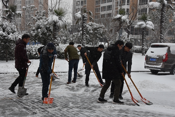2.公司志愿者冒雪開(kāi)展義務(wù)掃雪活動(dòng).jpg