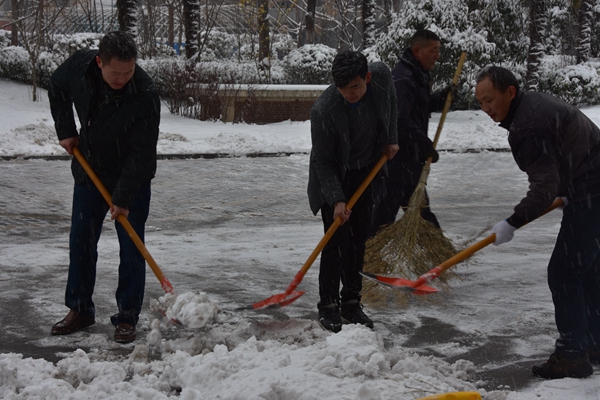 4.公司志愿者冒雪開(kāi)展義務(wù)掃雪活動(dòng).jpg